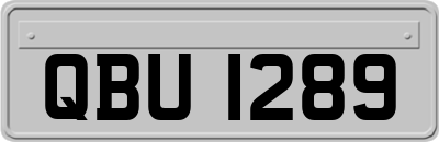QBU1289