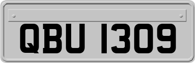 QBU1309
