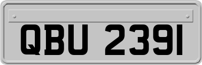 QBU2391