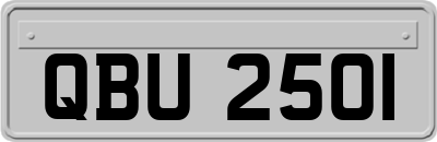 QBU2501