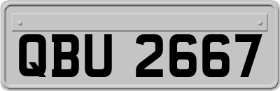 QBU2667