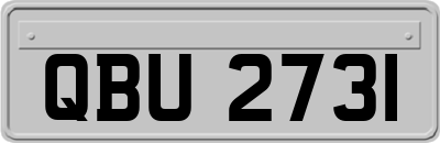 QBU2731