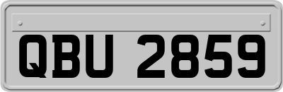 QBU2859