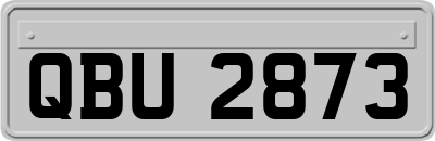 QBU2873