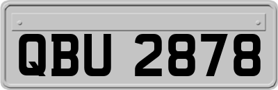 QBU2878