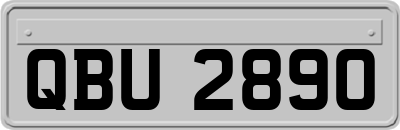 QBU2890