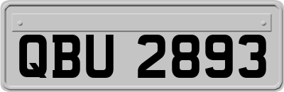 QBU2893