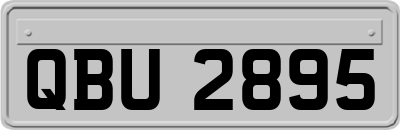 QBU2895