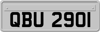 QBU2901