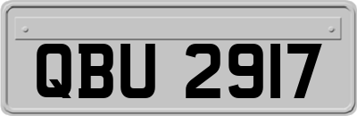 QBU2917