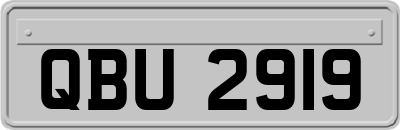 QBU2919