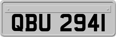 QBU2941