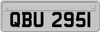 QBU2951