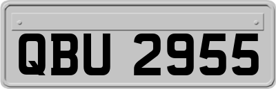 QBU2955