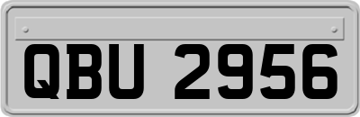 QBU2956