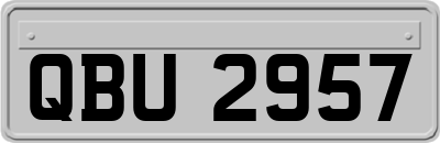 QBU2957