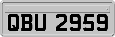 QBU2959