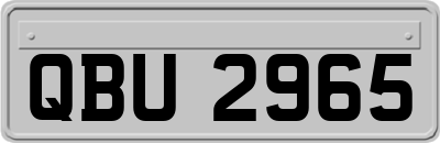 QBU2965