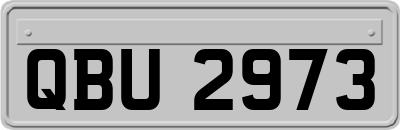 QBU2973