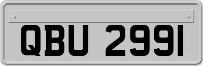 QBU2991