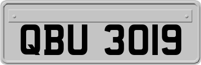 QBU3019