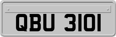 QBU3101