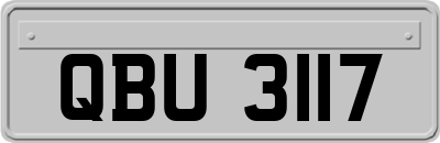 QBU3117
