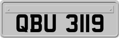 QBU3119