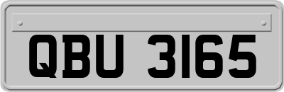 QBU3165