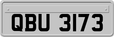 QBU3173
