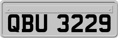 QBU3229