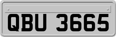 QBU3665