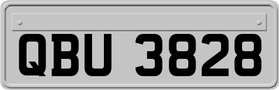 QBU3828