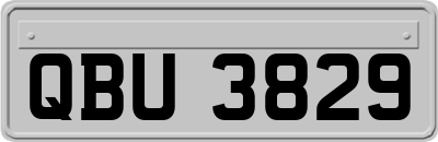 QBU3829