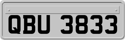 QBU3833
