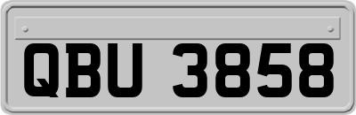 QBU3858