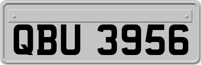 QBU3956