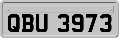 QBU3973