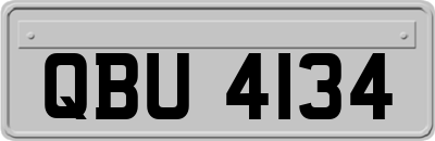 QBU4134