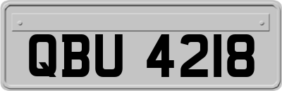 QBU4218