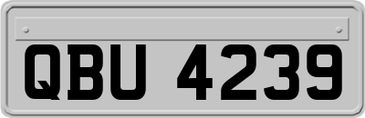 QBU4239