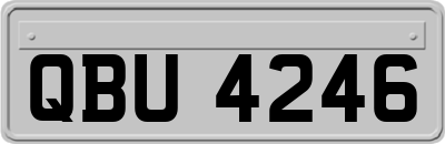 QBU4246