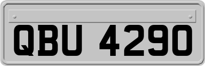 QBU4290