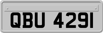 QBU4291