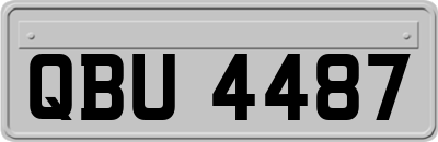 QBU4487