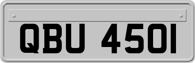 QBU4501