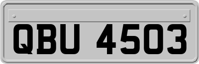 QBU4503