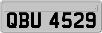QBU4529