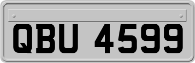 QBU4599