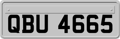 QBU4665